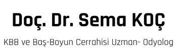 logo yeni 2